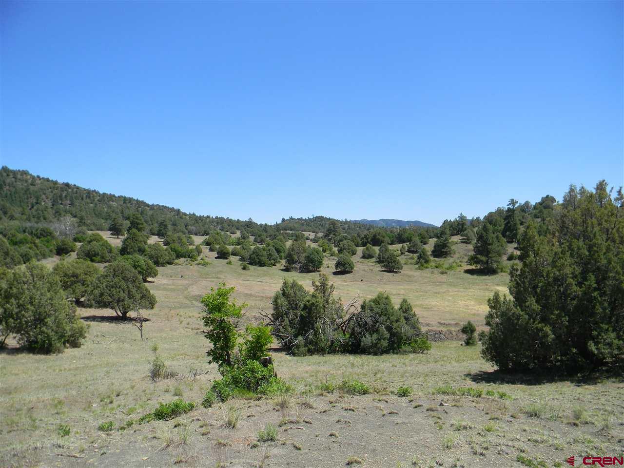 x County Road 700, Pagosa Springs, CO 81147 Listing Photo  9