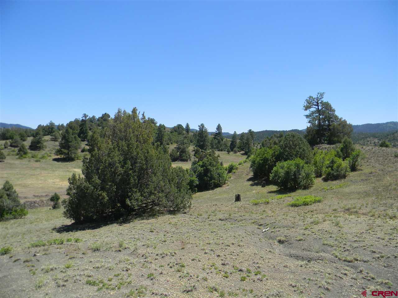x County Road 700, Pagosa Springs, CO 81147 Listing Photo  10