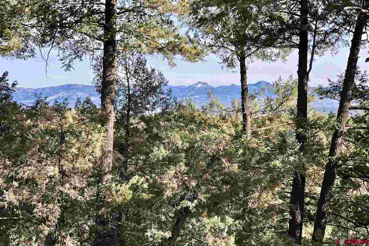 137 Antler Court, Pagosa Springs, CO 81147 Listing Photo  23
