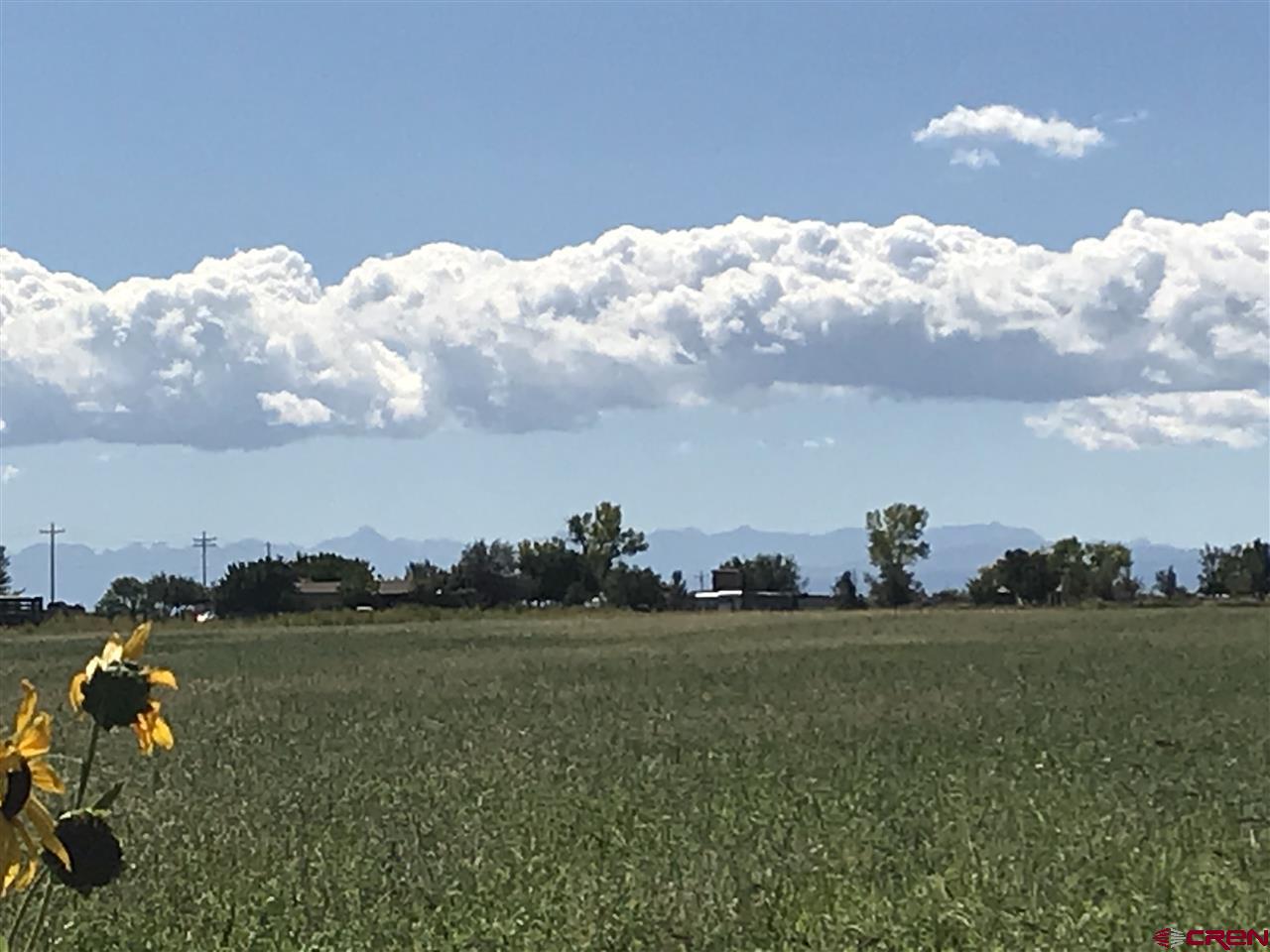 Land for Sale Delta County CO