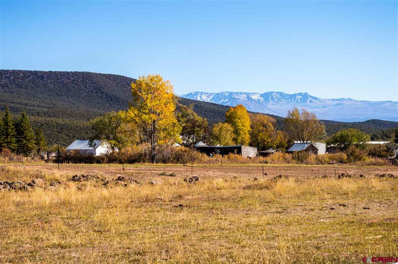 Hotchkiss CO Farm & Ranches For Sale