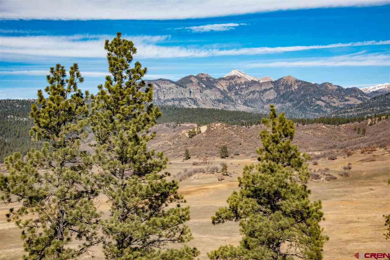 137 Hidden Valley Drive, Pagosa Springs, CO 81147 Listing Photo  2