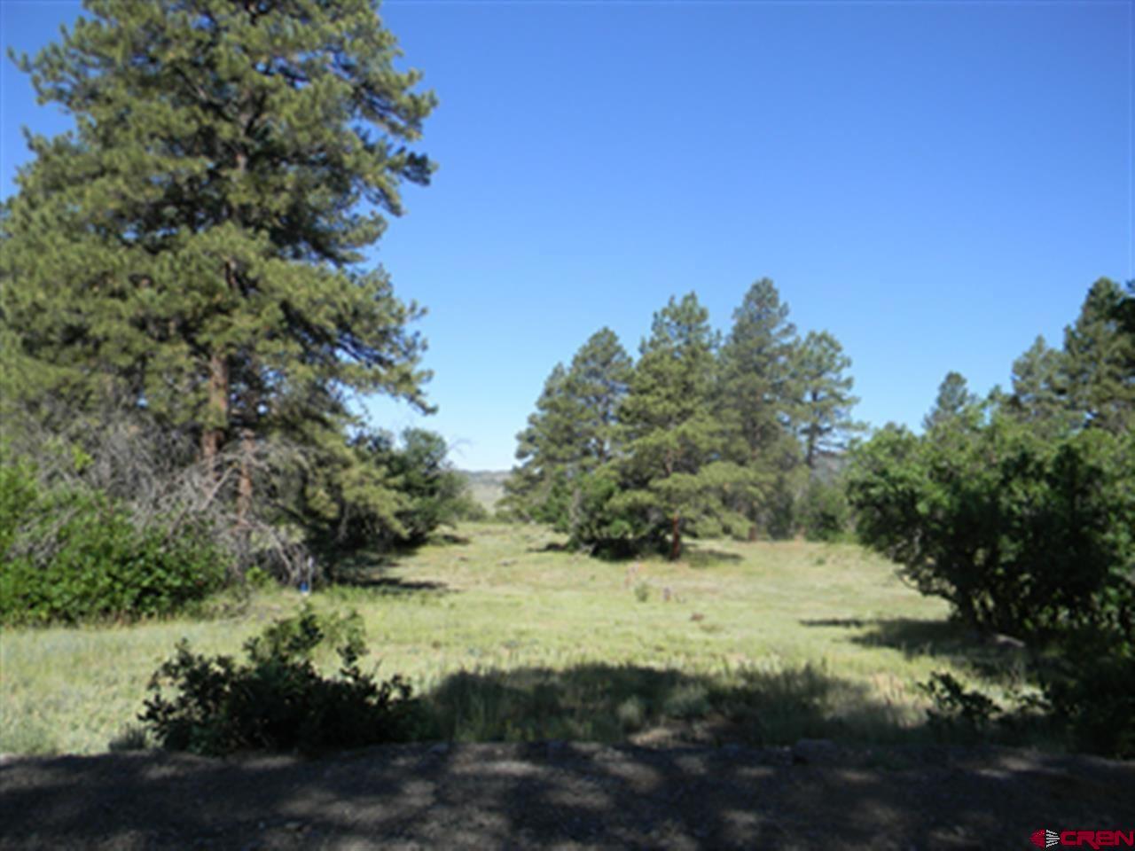 Lot 41 Pinto Place, Pagosa Springs, CO 81147 Listing Photo  1