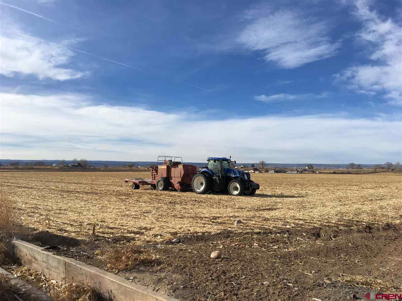 Delta Real Estate for Sale