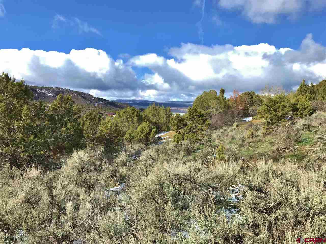 Crawford Colorado Real Estate Homes, Farms, Land for Sale