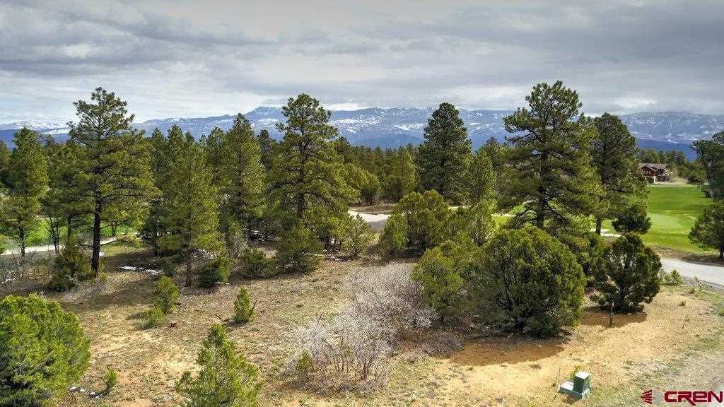 Loghill Village Ridgway Real Estate