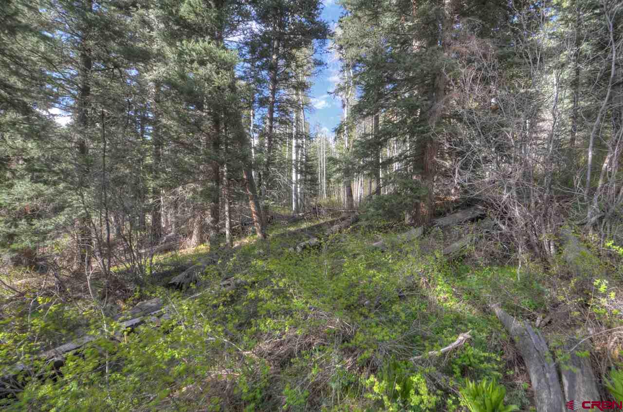 Cheap Land in Colorado For Sale