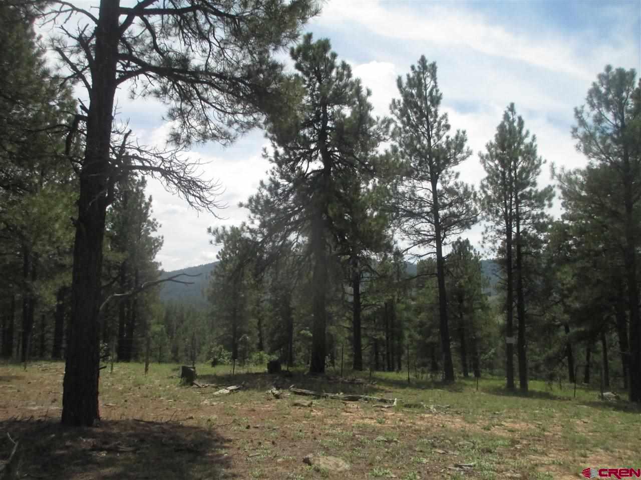 X Colorado Place