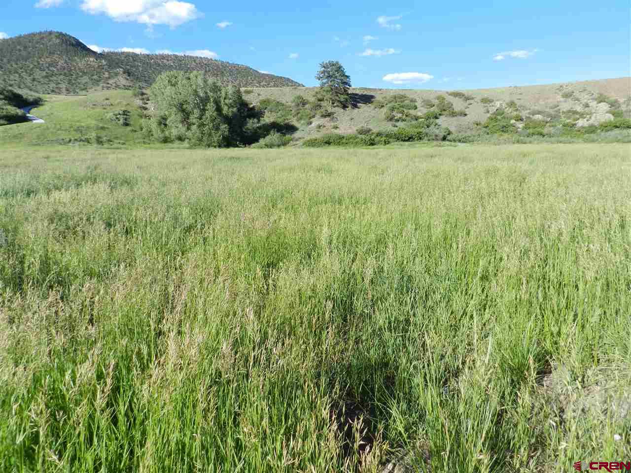 Cheap Land in Colorado For Sale
