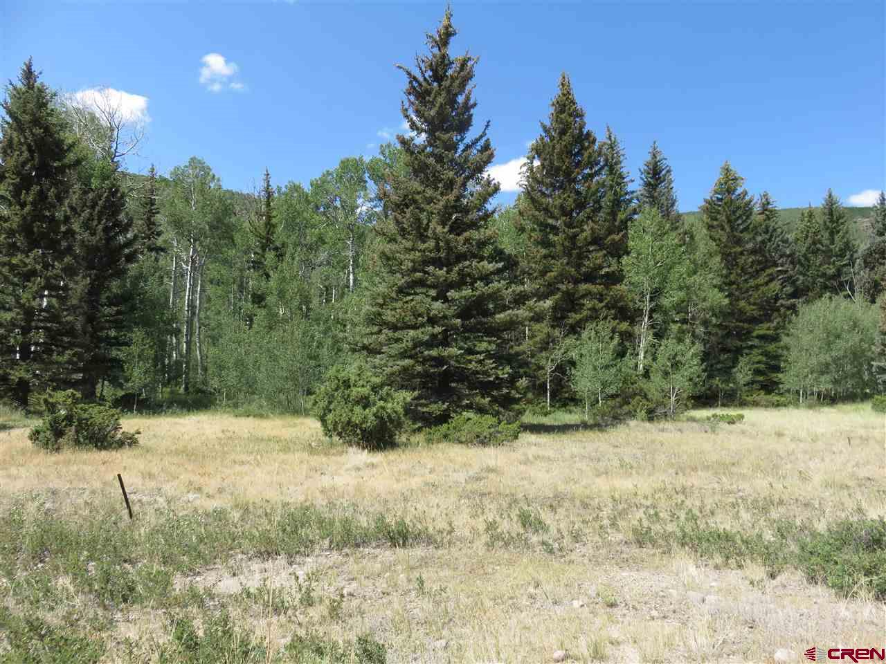 Lot 41 Bear Creek Antonito CO 81120 Sold