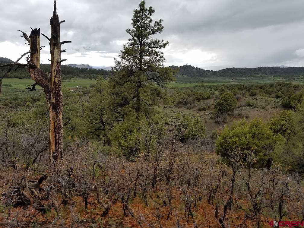 125 Archuleta Mesa