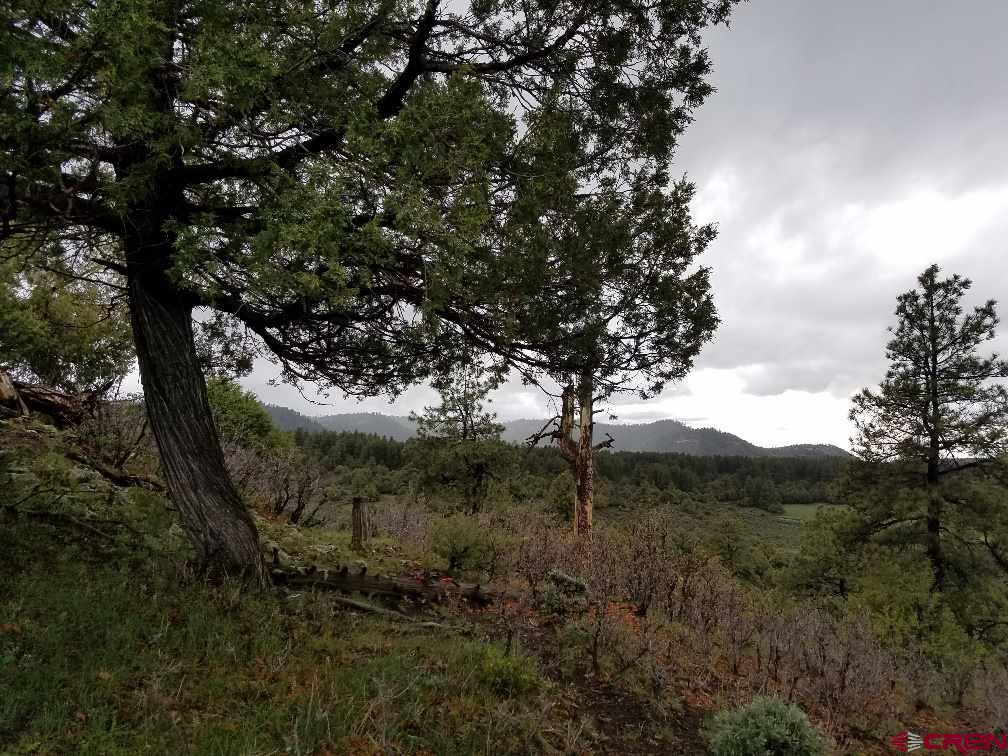 125 Archuleta Mesa
