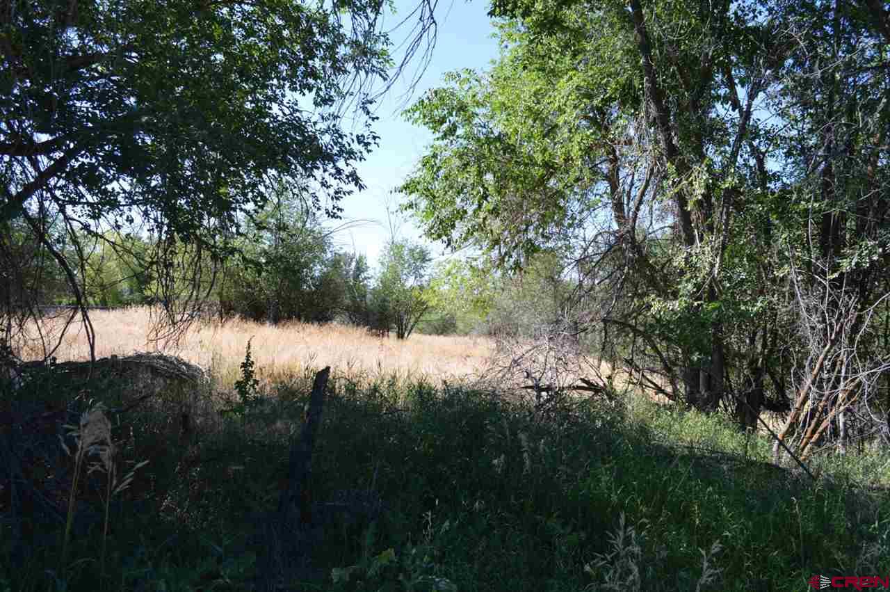 Western Colorado Land For Sale