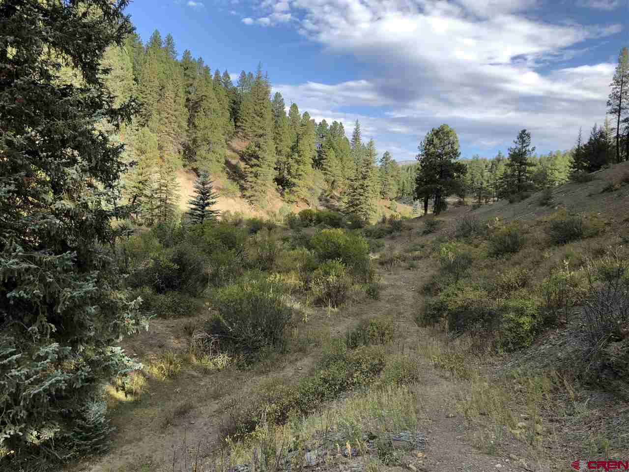x Hidden Valley Dr. Pagosa Springs CO 81147 For Sale
