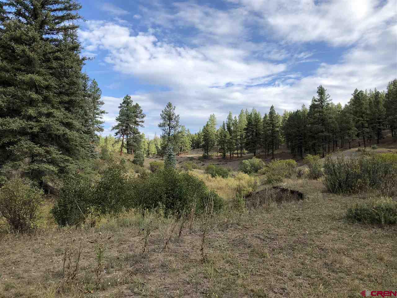x Hidden Valley Dr. Pagosa Springs CO 81147 For Sale