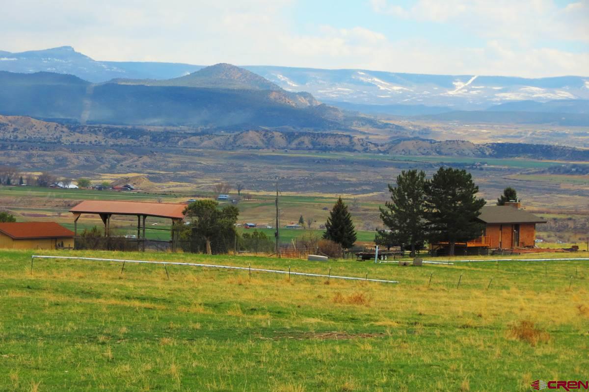 Hotchkiss CO Farm & Ranches For Sale