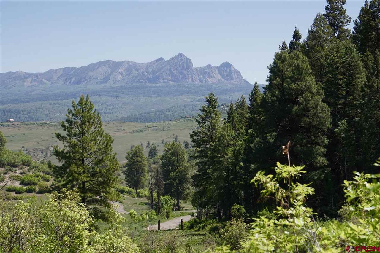 X Spring Valley Ranch Rd., Pagosa Springs, CO 81128 Listing Photo  1