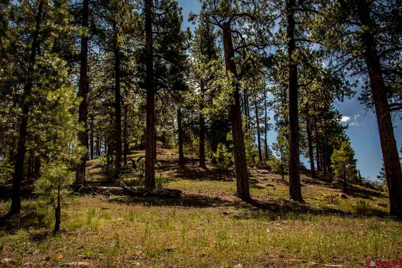 2750 County Road 359, Pagosa Springs, CO 81147 Listing Photo  30