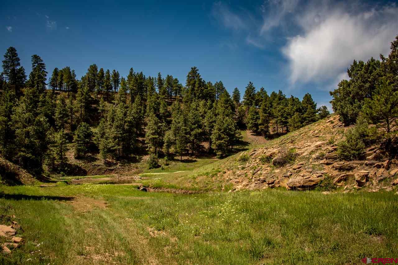 2750 County Road 359, Pagosa Springs, CO 81147 Listing Photo  32