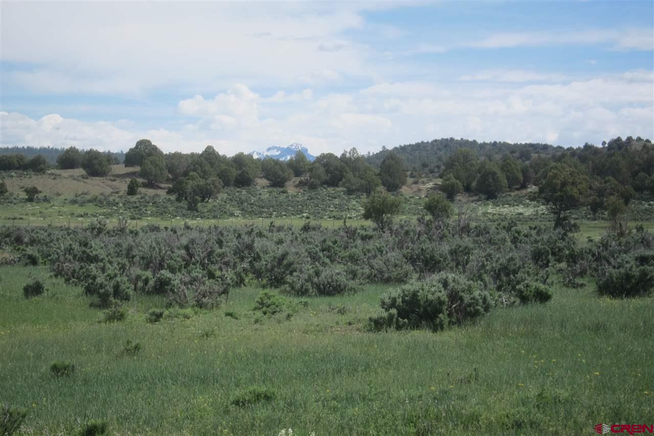4316 S Rockcliff Circle, Pagosa Springs, CO 81147 Listing Photo  32