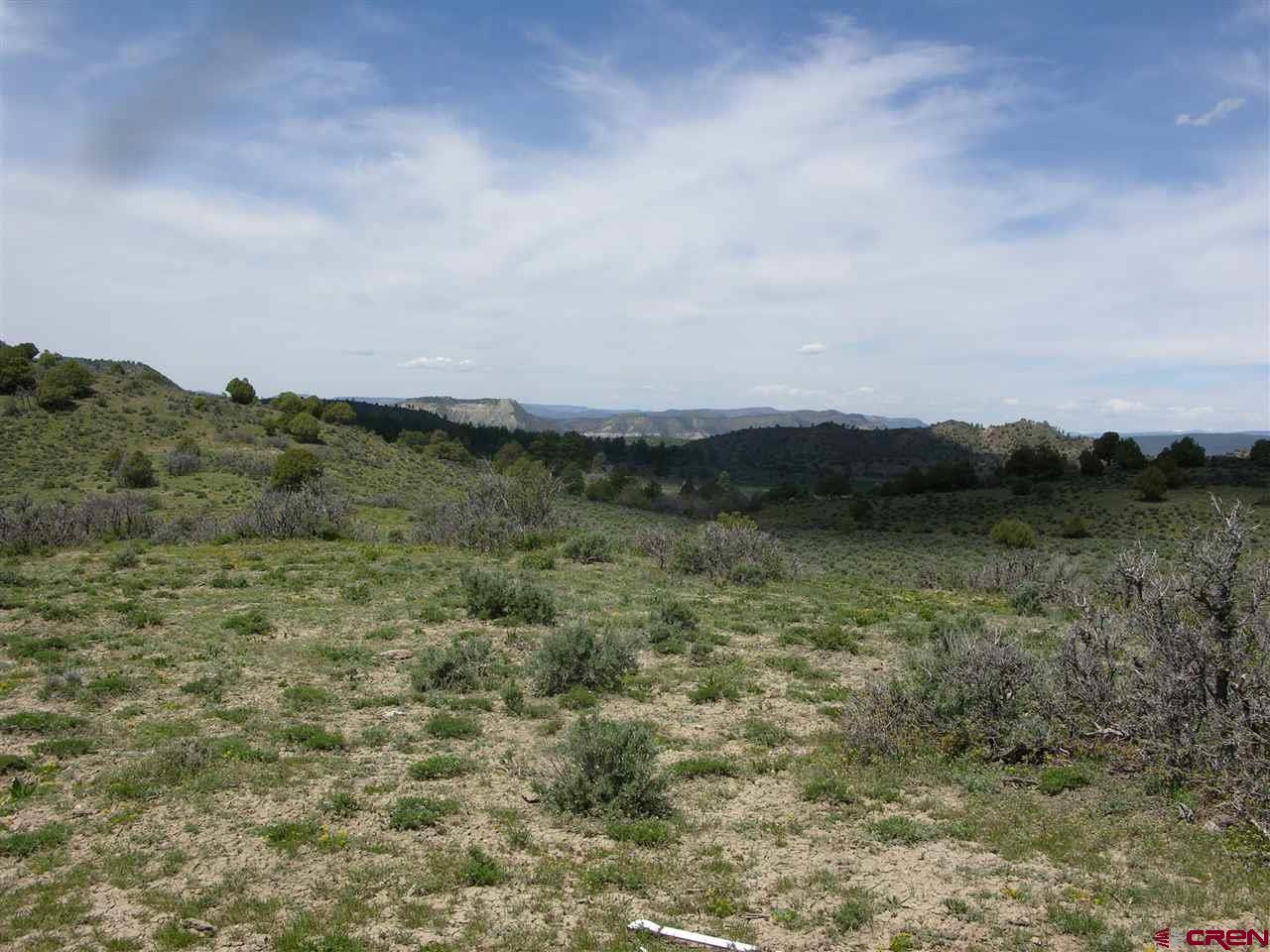 789 Archuleta Mesa Place, Pagosa Springs, CO 81147 Listing Photo  11