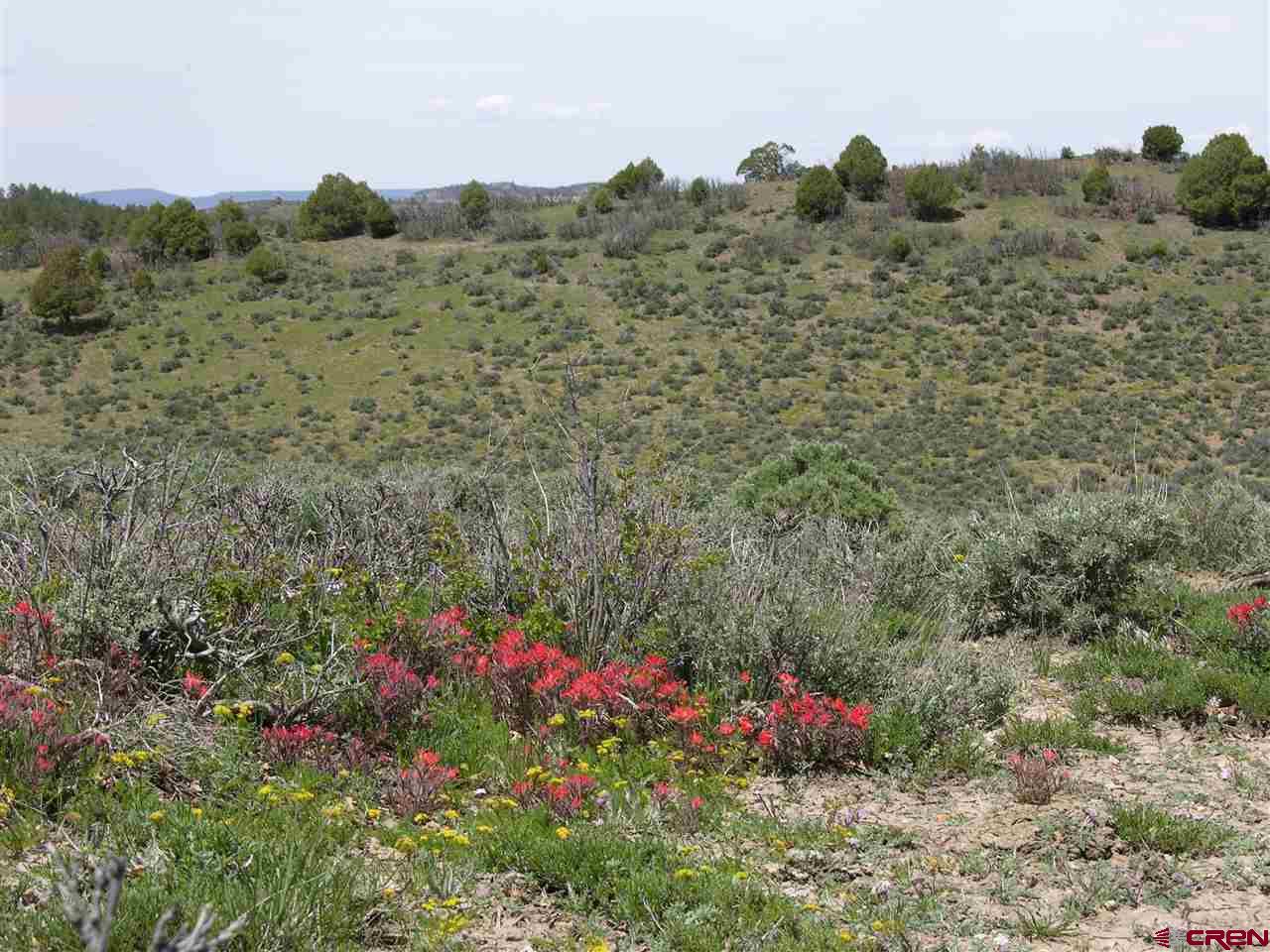 789 Archuleta Mesa Place, Pagosa Springs, CO 81147 Listing Photo  14