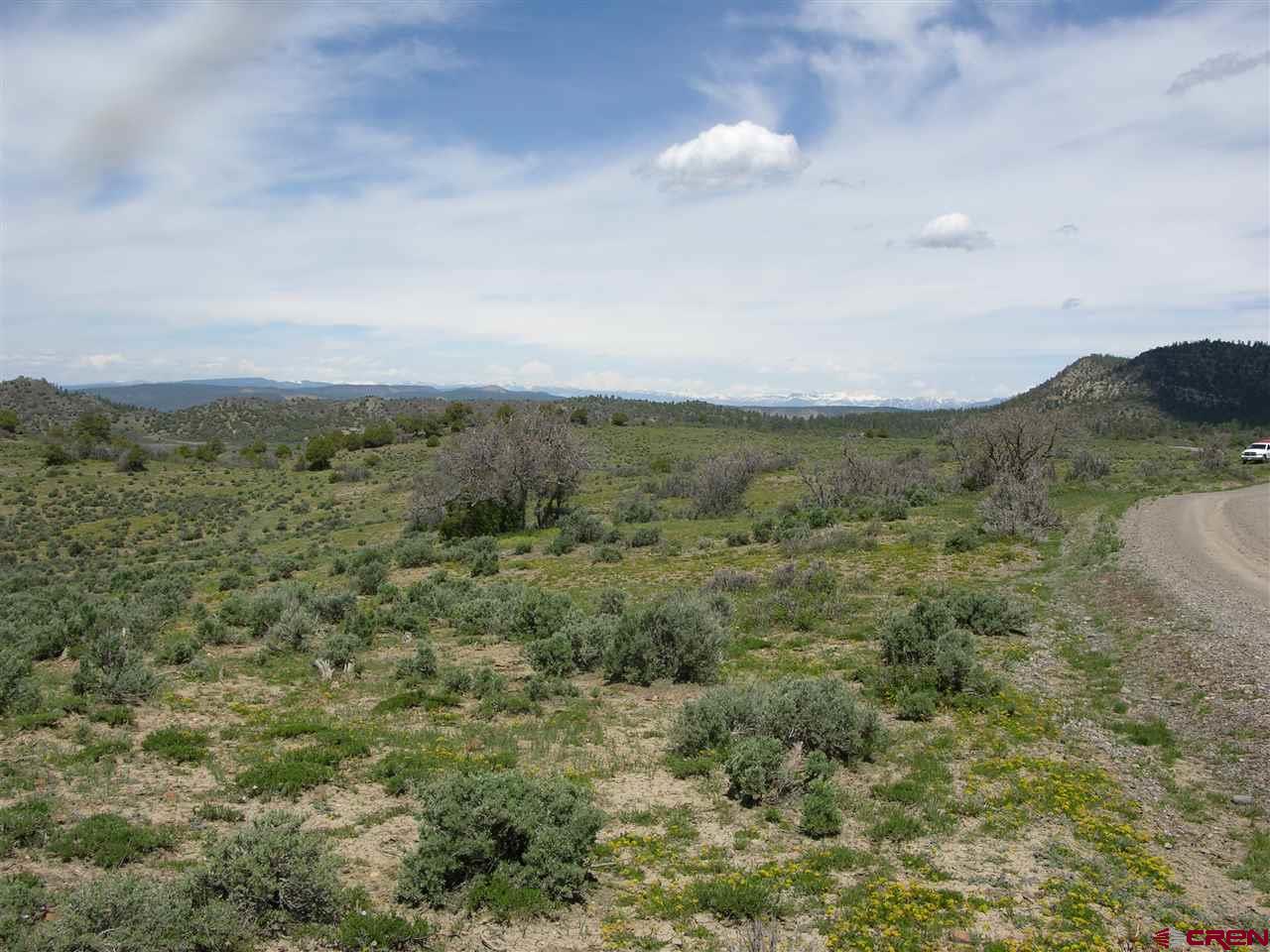 789 Archuleta Mesa Place, Pagosa Springs, CO 81147 Listing Photo  18