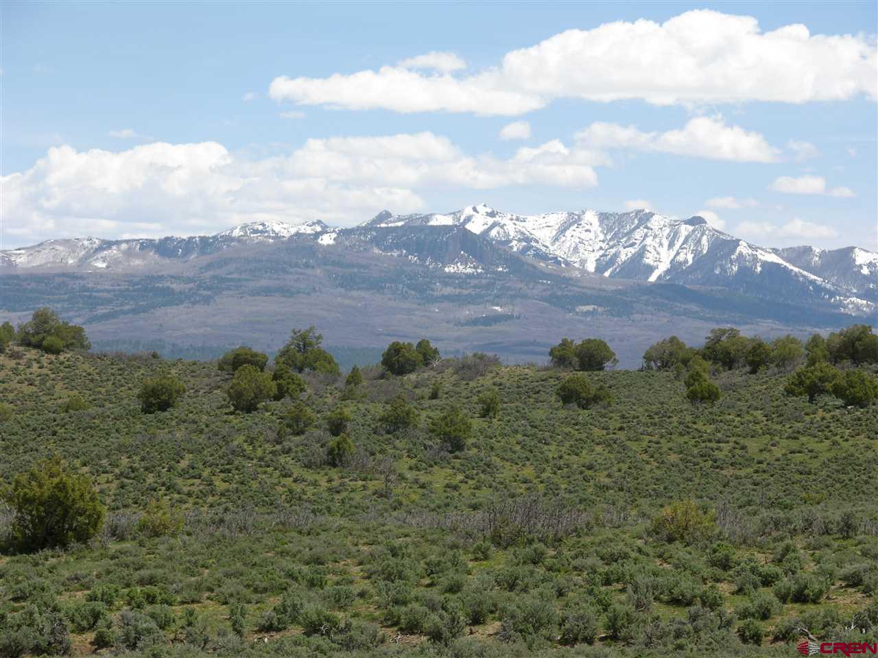 789 Archuleta Mesa Place, Pagosa Springs, CO 81147 Listing Photo  19
