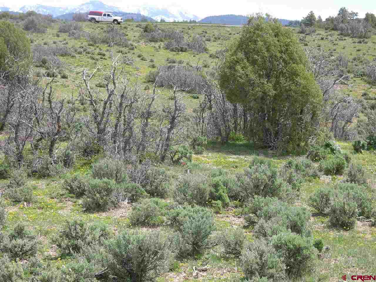 789 Archuleta Mesa Place, Pagosa Springs, CO 81147 Listing Photo  23
