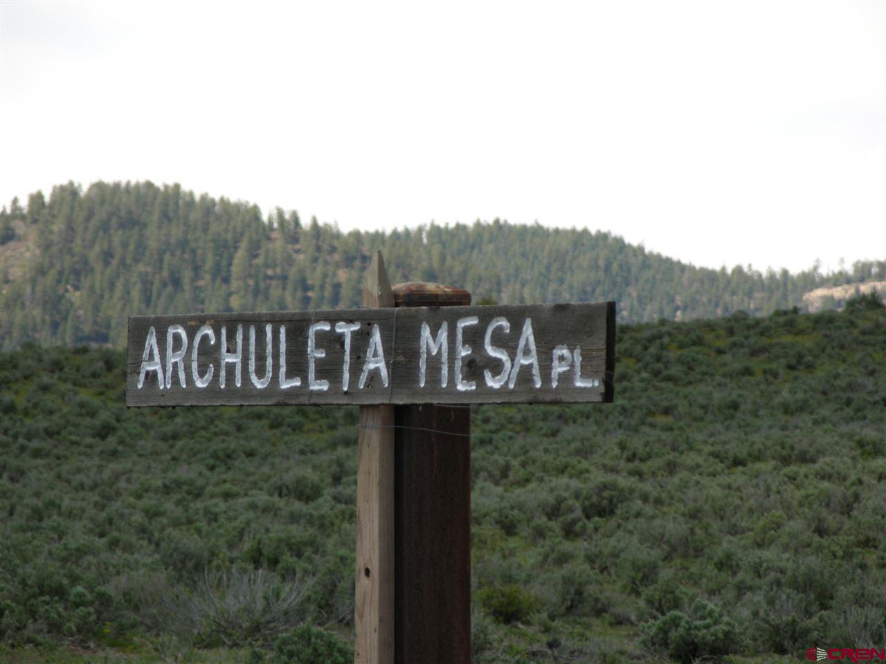 789 Archuleta Mesa Place, Pagosa Springs, CO 81147 Listing Photo  5