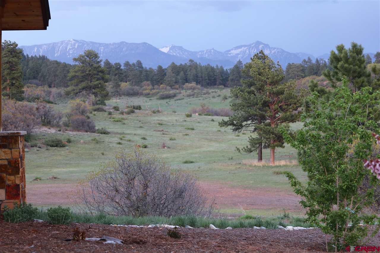 2446a/2446b Preservation Place, Pagosa Springs, CO 81147 Listing Photo  8