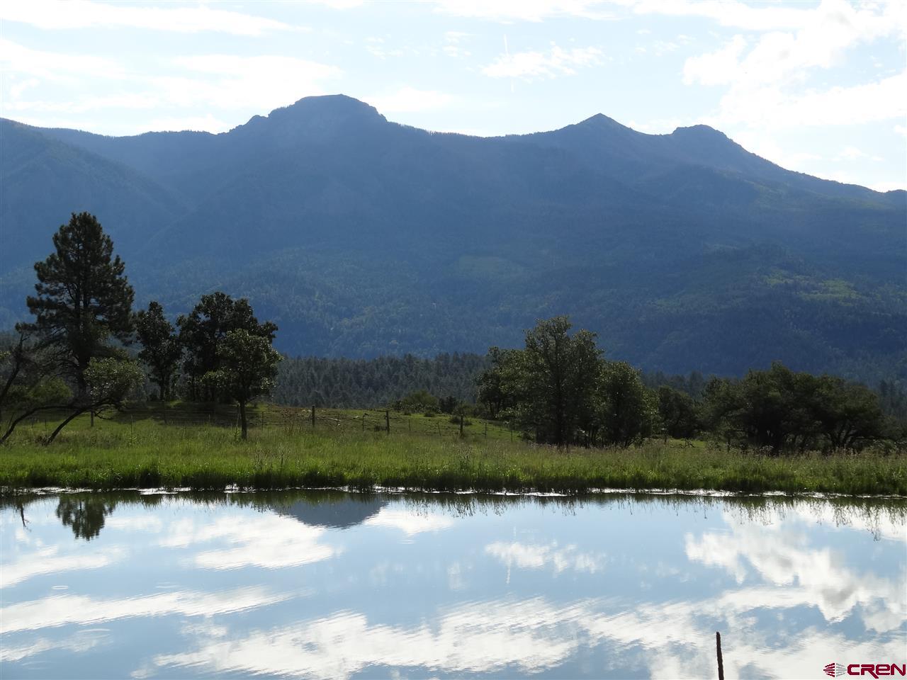 1729 A Navajo Peak Place, Pagosa Springs, CO 81147 Listing Photo  19