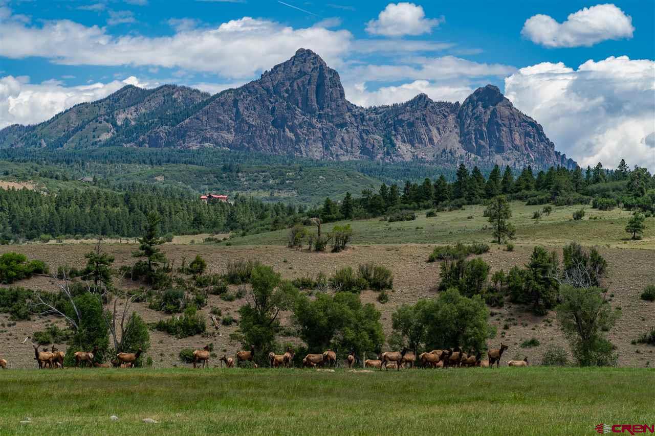 X County Rd 382 Chromo CO 81147 For Sale