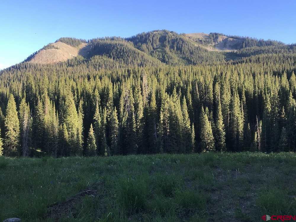 TBD Floresta Rd/ 730 Forest Service Rd Forest, Crested Butte, CO 81224