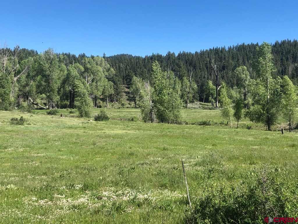 7257 County Road 382, Pagosa Springs, CO 81147 Listing Photo  16