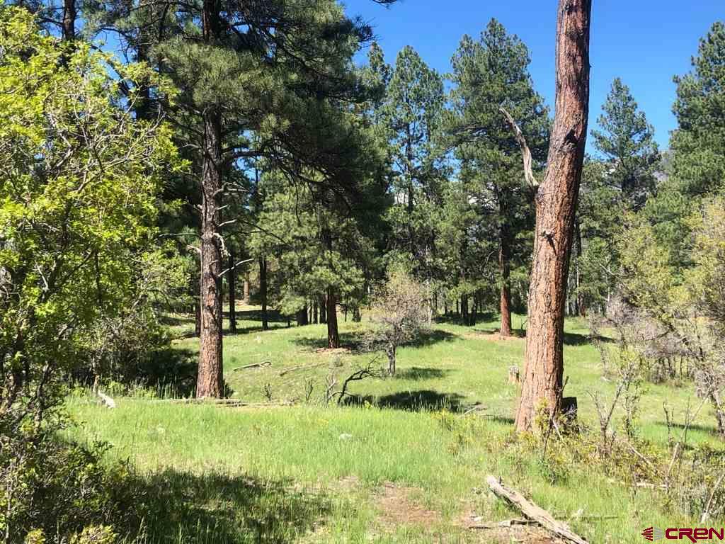 7257 County Road 382, Pagosa Springs, CO 81147 Listing Photo  21