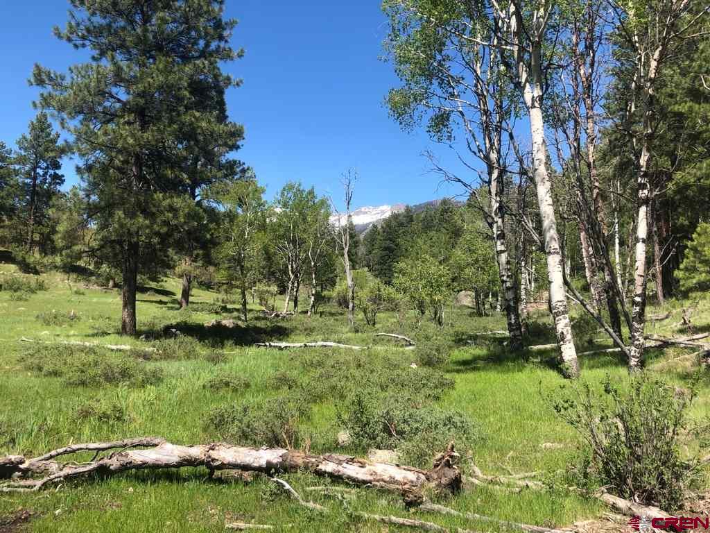 7257 County Road 382, Pagosa Springs, CO 81147 Listing Photo  25