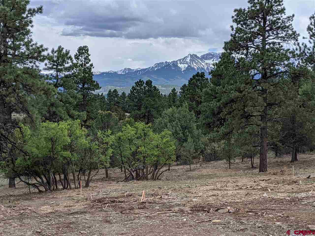 Loghill Village Ridgway Real Estate