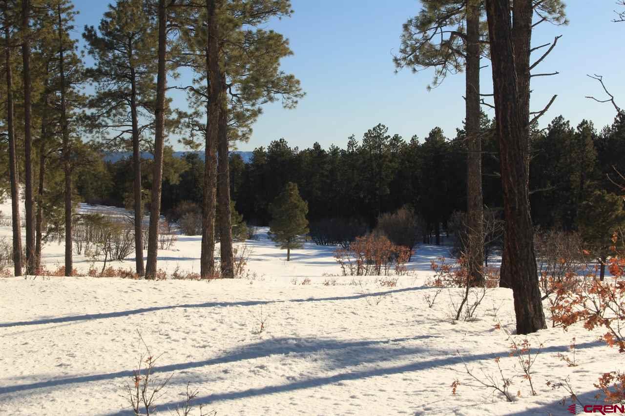 701 Piney Place, Pagosa Springs, CO 81147 Listing Photo  19