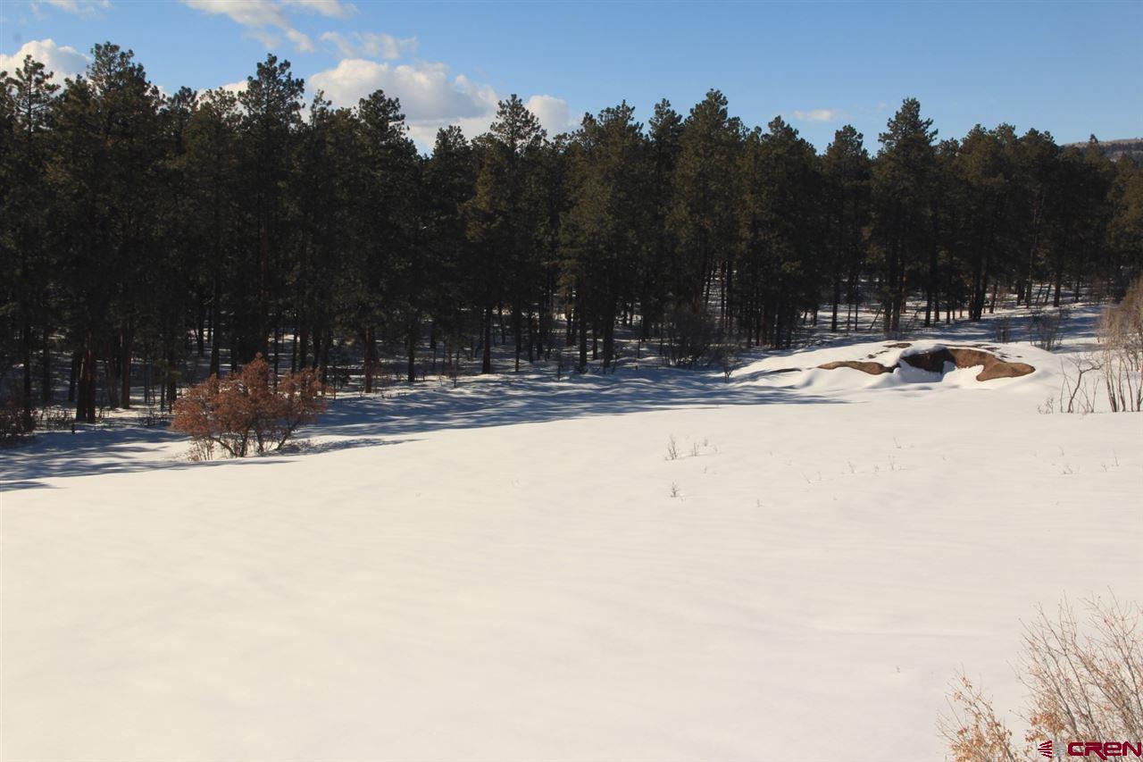 701 Piney Place, Pagosa Springs, CO 81147 Listing Photo  7