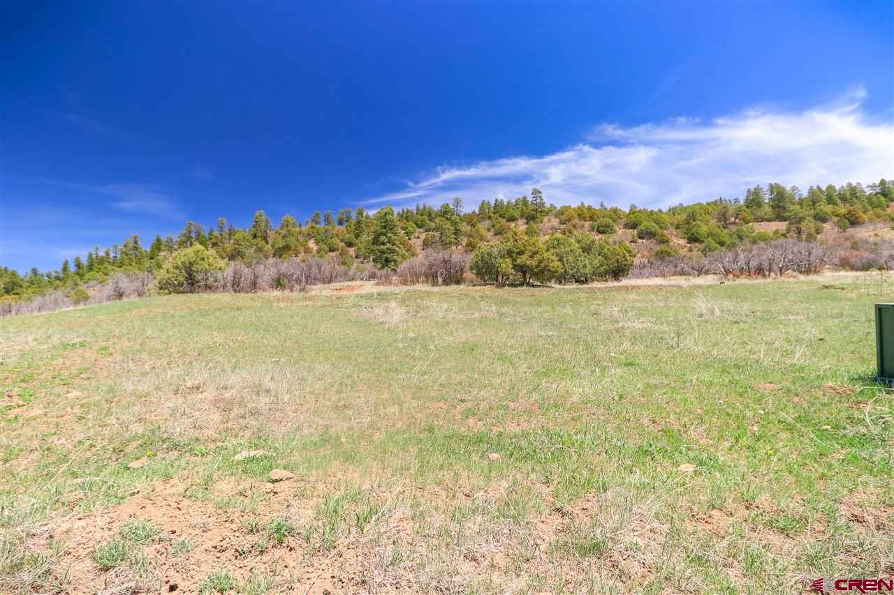 X Highway 84, Pagosa Springs, CO 81147 Listing Photo  1