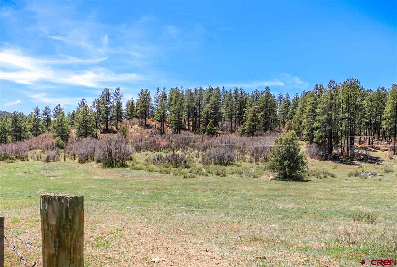 X Highway 84, Pagosa Springs, CO 81147 Listing Photo  13
