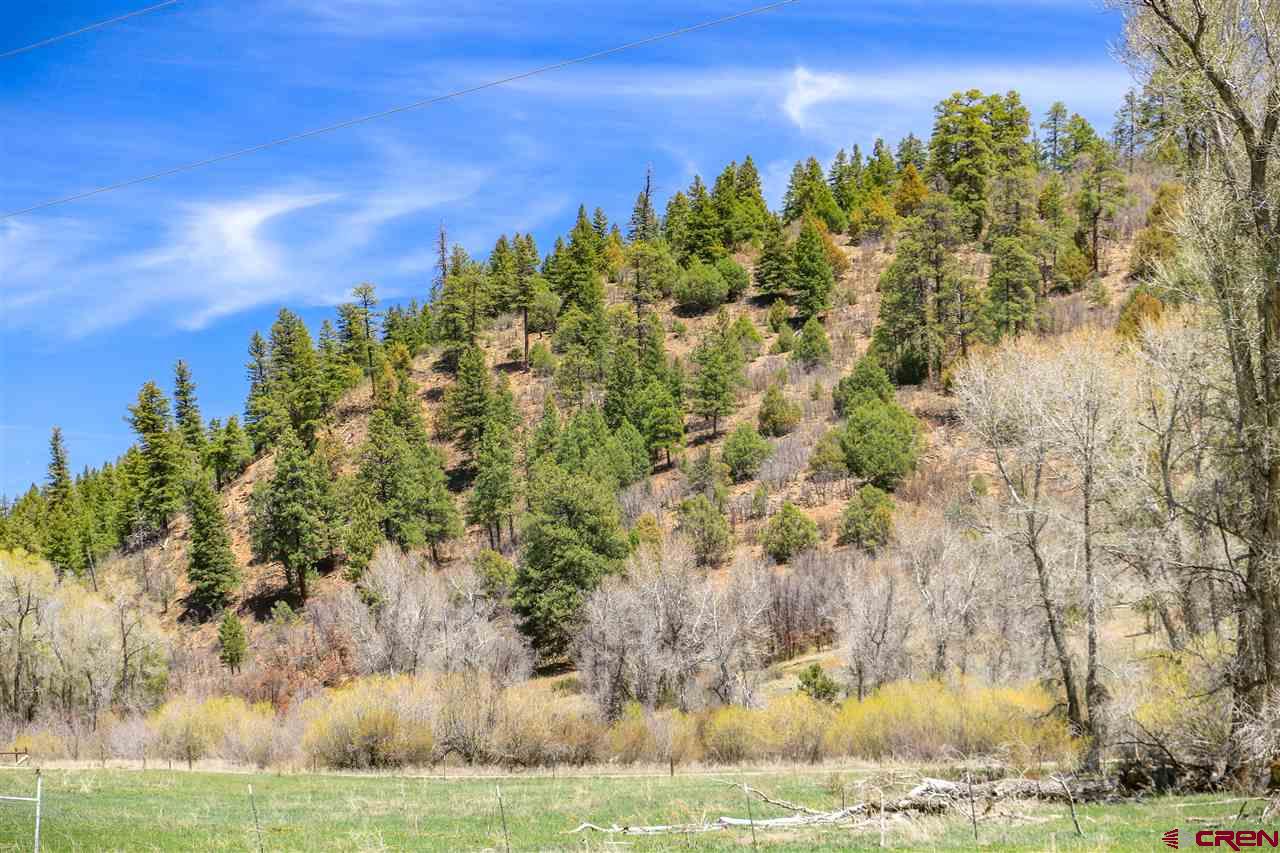 X Highway 84, Pagosa Springs, CO 81147 Listing Photo  14