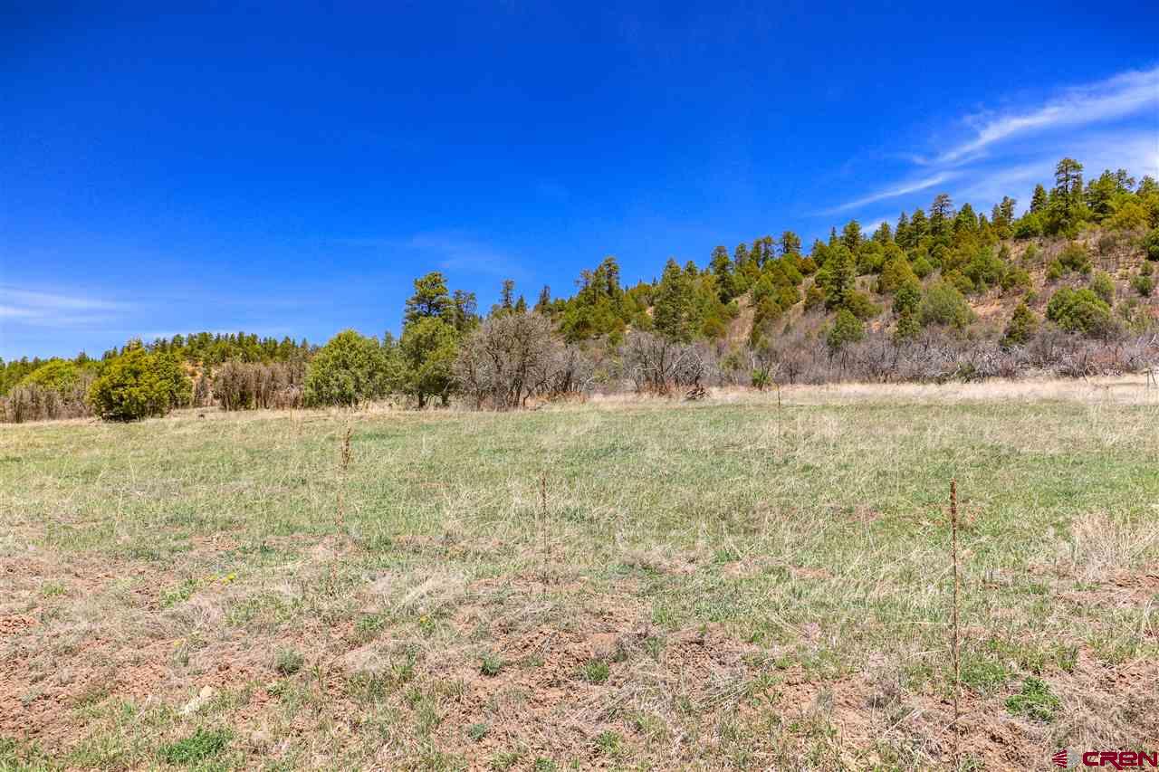 X Highway 84, Pagosa Springs, CO 81147 Listing Photo  15