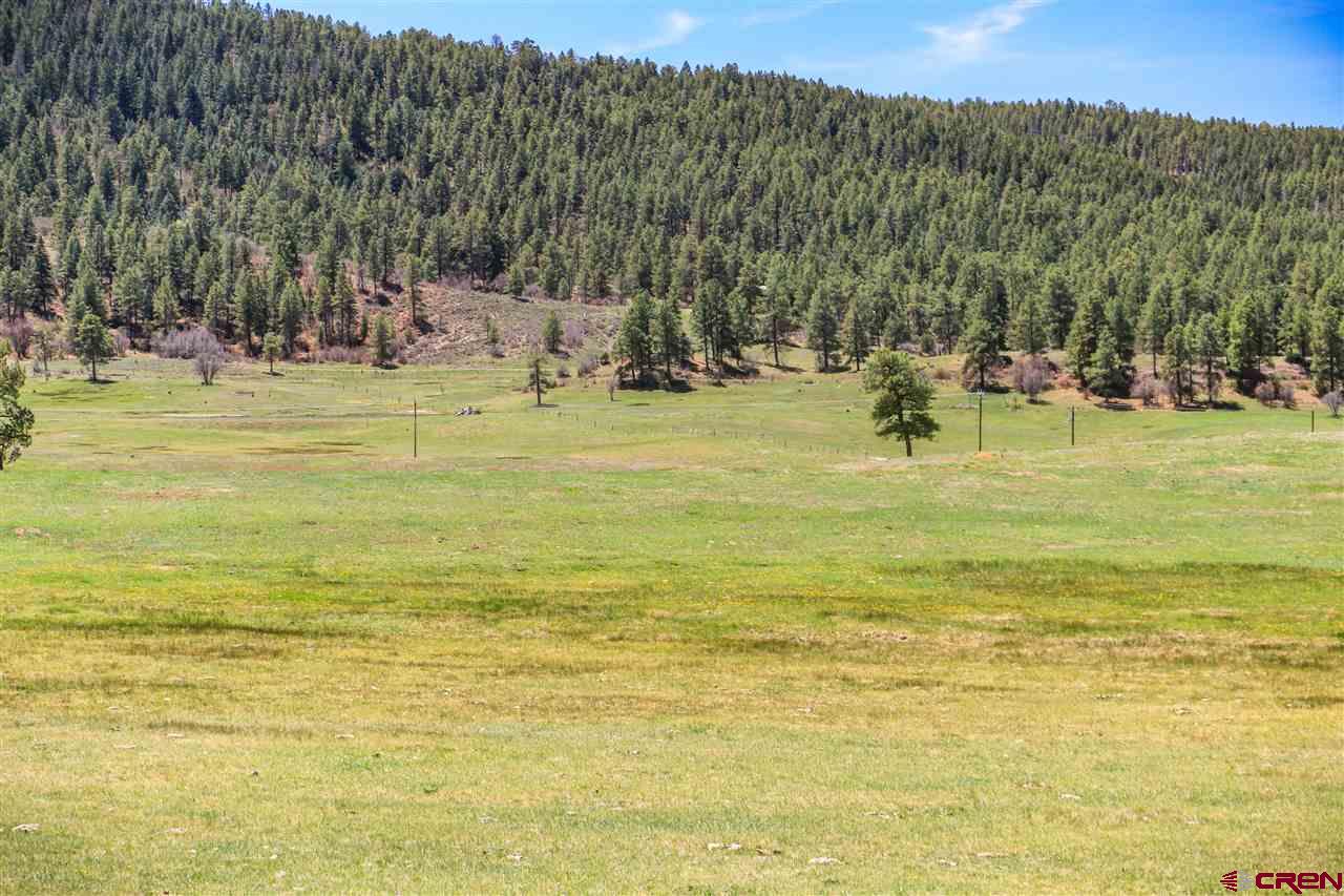 X Highway 84, Pagosa Springs, CO 81147 Listing Photo  16