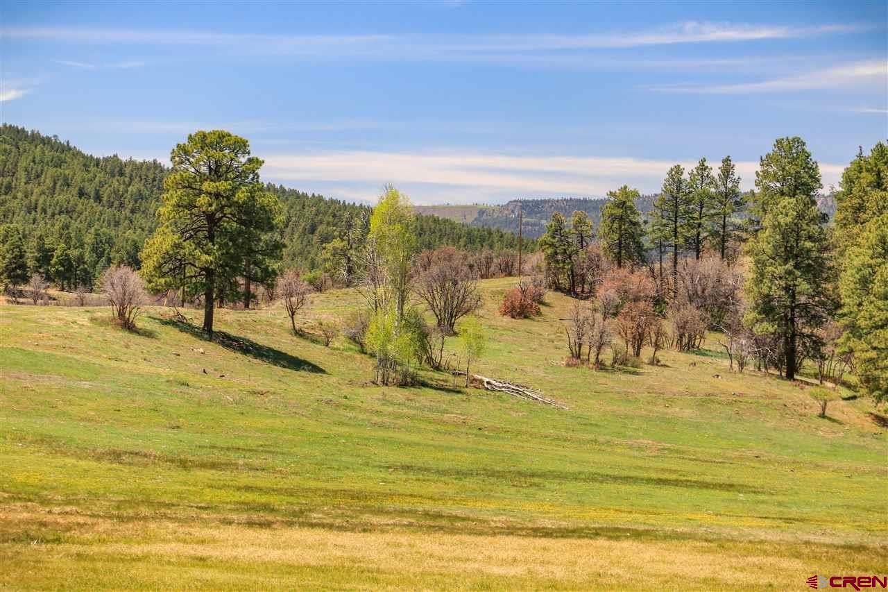 X Highway 84, Pagosa Springs, CO 81147 Listing Photo  17