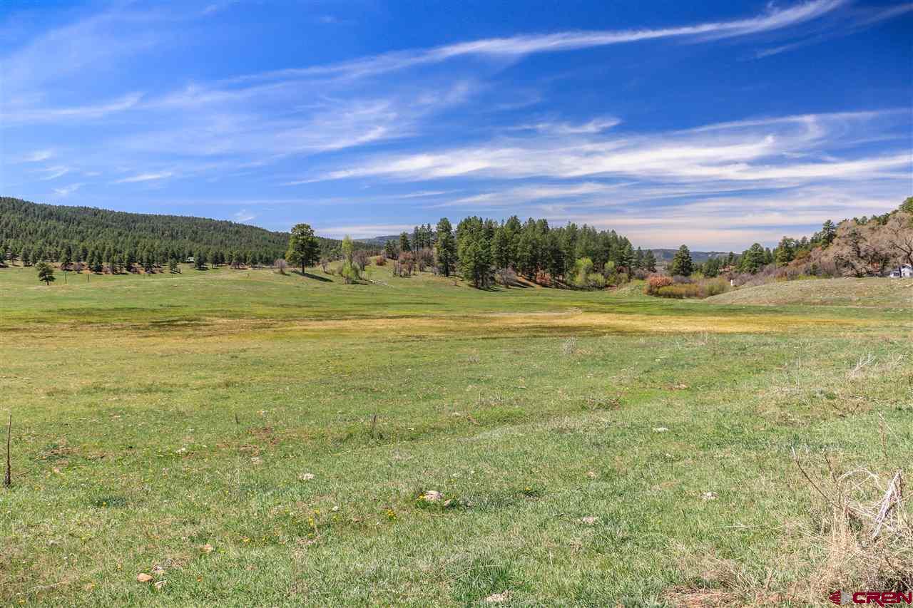 X Highway 84, Pagosa Springs, CO 81147 Listing Photo  18