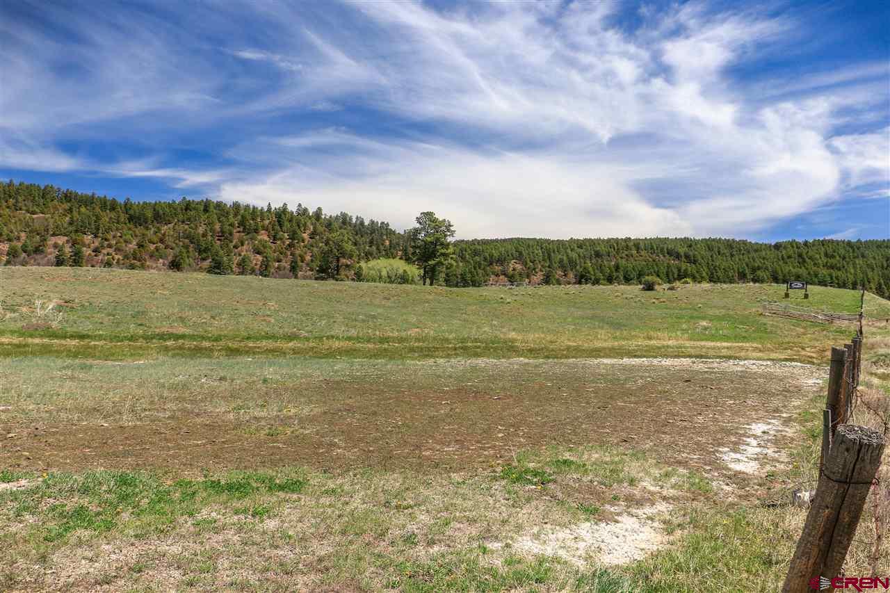 X Highway 84, Pagosa Springs, CO 81147 Listing Photo  22