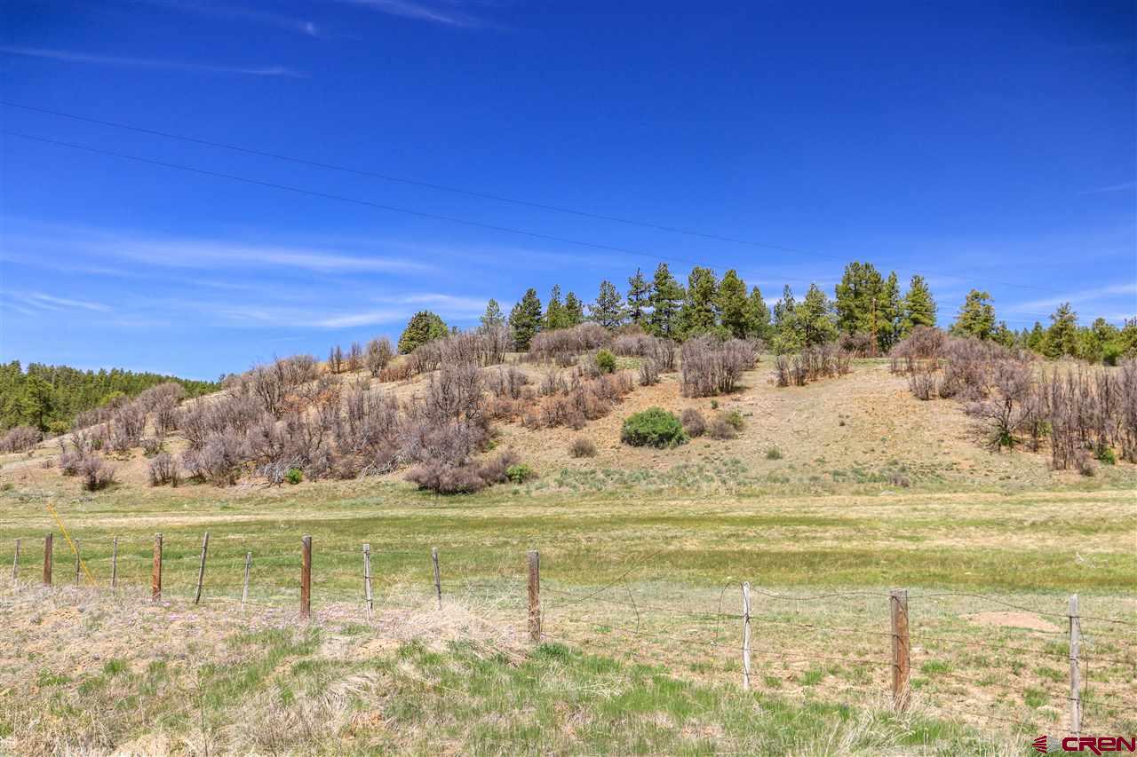 X Highway 84, Pagosa Springs, CO 81147 Listing Photo  25