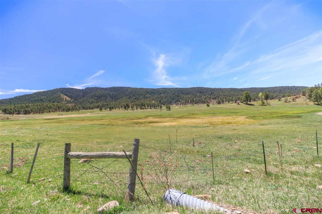 X Highway 84, Pagosa Springs, CO 81147 Listing Photo  29